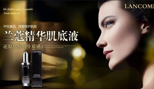 雅诗兰黛公司是全球领先的化妆品,护肤品和香水的大型生产商和销售商.